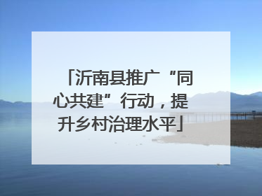 沂南县推广“同心共建”行动，提升乡村治理水平