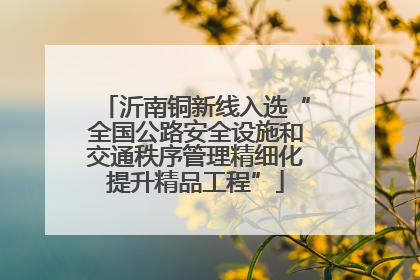 沂南铜新线入选“全国公路安全设施和交通秩序管理精细化提升精品工程”