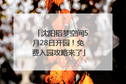 沈阳稻梦空间5月28日开园！免费入园攻略来了