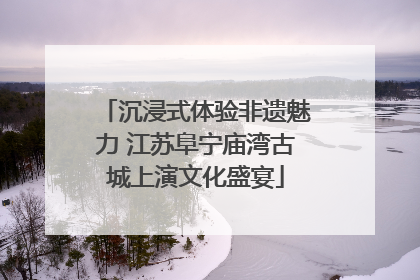 沉浸式体验非遗魅力 江苏阜宁庙湾古城上演文化盛宴