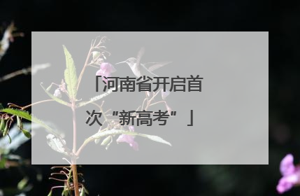 河南省开启首次“新高考”