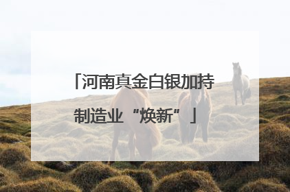 河南真金白银加持制造业“焕新”