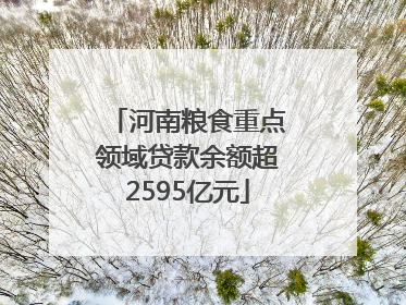 河南粮食重点领域贷款余额超2595亿元