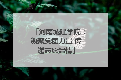 河南城建学院：凝聚党团力量 传递志愿温情