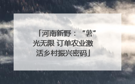 河南新野：“薯”光无限 订单农业激活乡村振兴密码