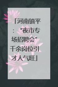 河南镇平：“夜市专场招聘会”千余岗位引才人气旺