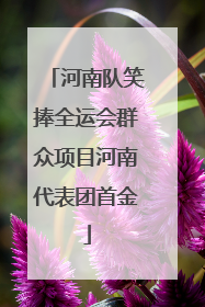 河南队笑捧全运会群众项目河南代表团首金