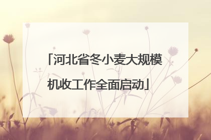 河北省冬小麦大规模机收工作全面启动
