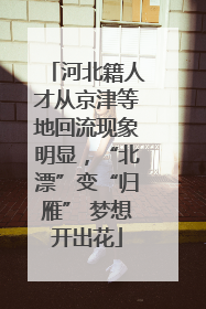 河北籍人才从京津等地回流现象明显，“北漂”变“归雁” 梦想开出花