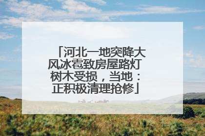 河北一地突降大风冰雹致房屋路灯树木受损，当地：正积极清理抢修