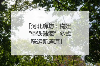 河北廊坊：构建“空铁陆海”多式联运新通道