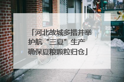 河北故城多措并举护航“三夏”生产 确保夏粮颗粒归仓