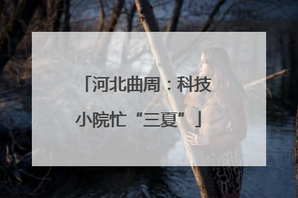 河北曲周：科技小院忙“三夏”