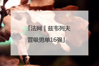 法网｜兹韦列夫晋级男单16强