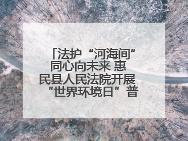 法护“河海间” 同心向未来 惠民县人民法院开展“世界环境日”普法宣传活动