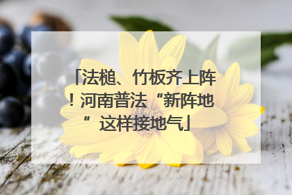 法槌、竹板齐上阵！河南普法“新阵地”这样接地气