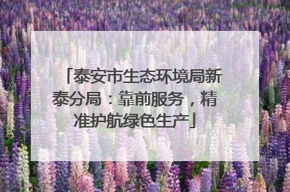 泰安市生态环境局新泰分局：靠前服务，精准护航绿色生产
