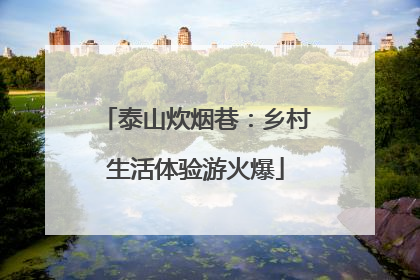泰山炊烟巷：乡村生活体验游火爆