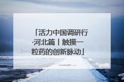 活力中国调研行·河北篇丨触摸一粒药的创新脉动