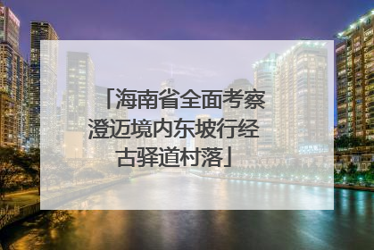 海南省全面考察澄迈境内东坡行经古驿道村落