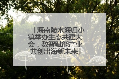 海南陵水海归小镇举办生态共建大会，数智赋能产业共创出海新未来