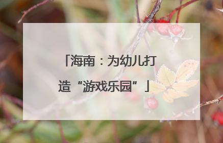 海南：为幼儿打造“游戏乐园”