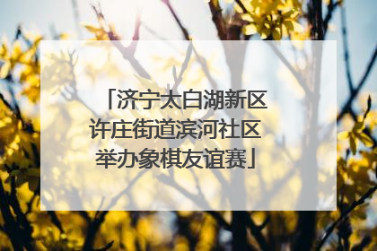 济宁太白湖新区许庄街道滨河社区举办象棋友谊赛