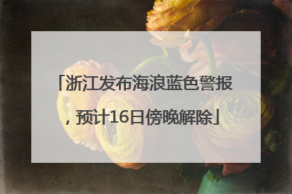 浙江发布海浪蓝色警报，预计16日傍晚解除