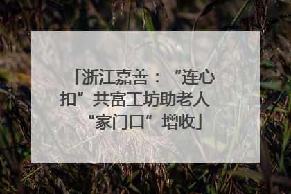 浙江嘉善：“连心扣”共富工坊助老人“家门口”增收