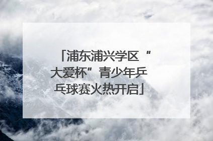 浦东浦兴学区“大爱杯”青少年乒乓球赛火热开启