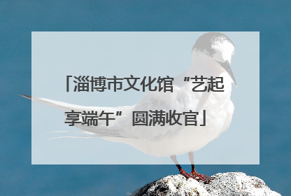 淄博市文化馆“艺起享端午”圆满收官