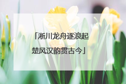 淅川龙舟逐浪起 楚风汉韵贯古今