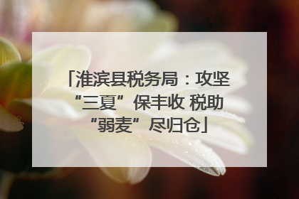 淮滨县税务局：攻坚“三夏”保丰收 税助“弱麦”尽归仓