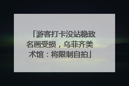 游客打卡没站稳致名画受损，乌菲齐美术馆：将限制自拍