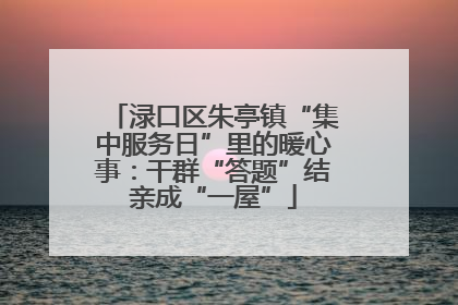 渌口区朱亭镇“集中服务日”里的暖心事：干群“答题”结亲成“一屋”