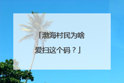 渤海村民为啥爱扫这个码？