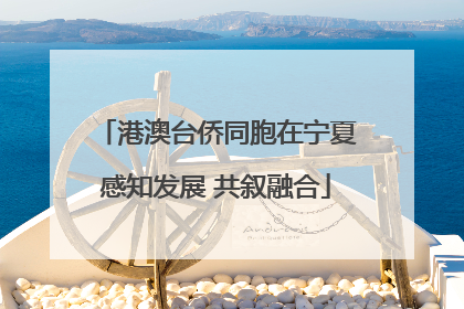 港澳台侨同胞在宁夏感知发展 共叙融合