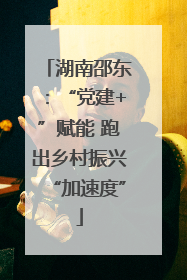 湖南邵东：“党建+”赋能 跑出乡村振兴“加速度”