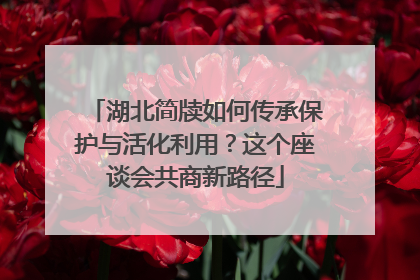 湖北简牍如何传承保护与活化利用？这个座谈会共商新路径