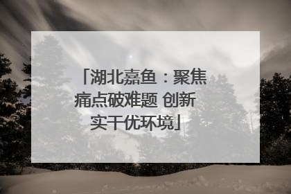 湖北嘉鱼：聚焦痛点破难题 创新实干优环境