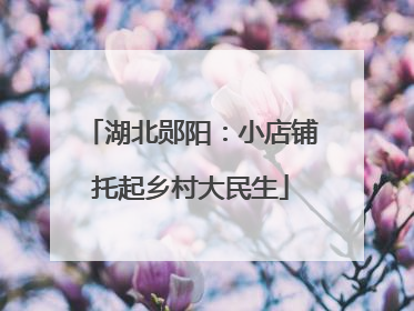 湖北郧阳：小店铺托起乡村大民生