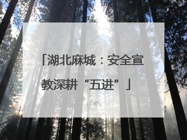 湖北麻城：安全宣教深耕“五进”