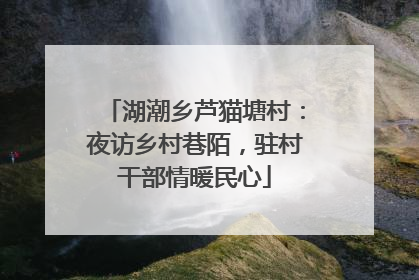 湖潮乡芦猫塘村：夜访乡村巷陌，驻村干部情暖民心