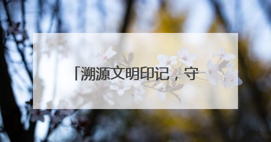 溯源文明印记，守护历史根脉——靖宇县第四次全国文物普查工作纪实