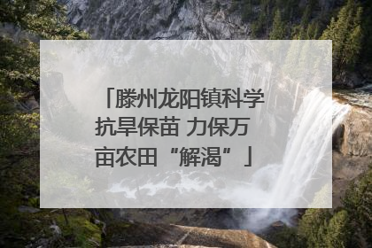 滕州龙阳镇科学抗旱保苗 力保万亩农田“解渴”