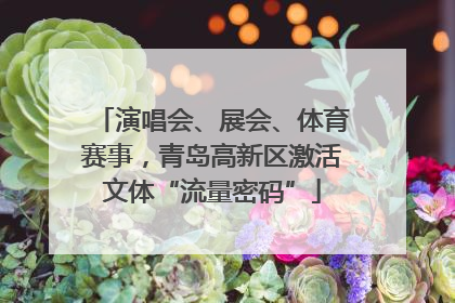 演唱会、展会、体育赛事，青岛高新区激活文体“流量密码”
