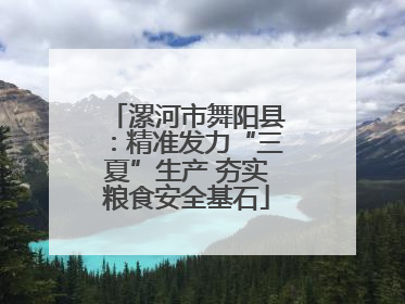 漯河市舞阳县：精准发力“三夏”生产 夯实粮食安全基石