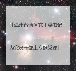 漳州台商区党工委书记为党员干部上专题党课