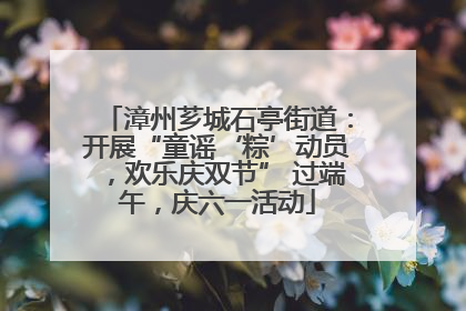 漳州芗城石亭街道：开展“童谣‘粽’动员，欢乐庆双节” 过端午，庆六一活动