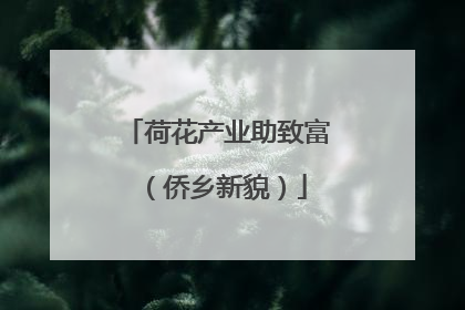 荷花产业助致富（侨乡新貌）